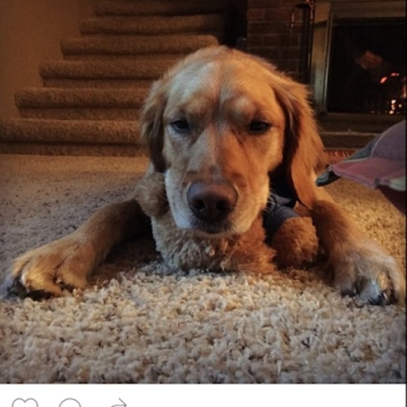 Meet your Posher, Daniel - Picture 1 of 1